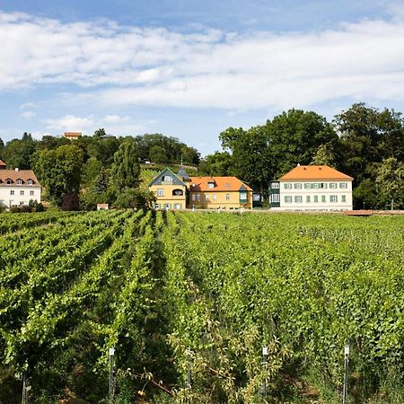 Weingut Haus Steinbach Villa Radebeul Exterior photo