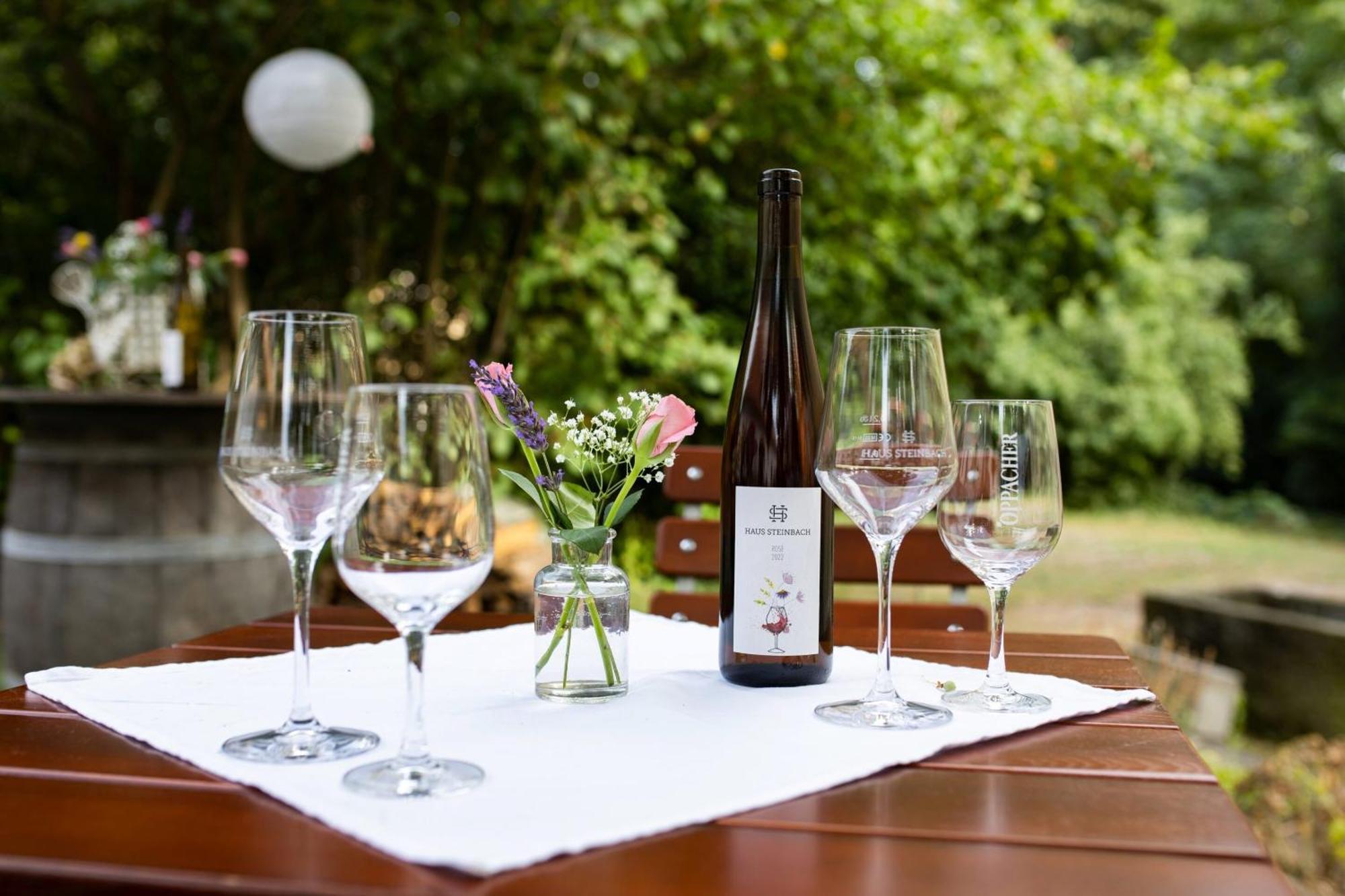 Weingut Haus Steinbach Villa Radebeul Exterior photo