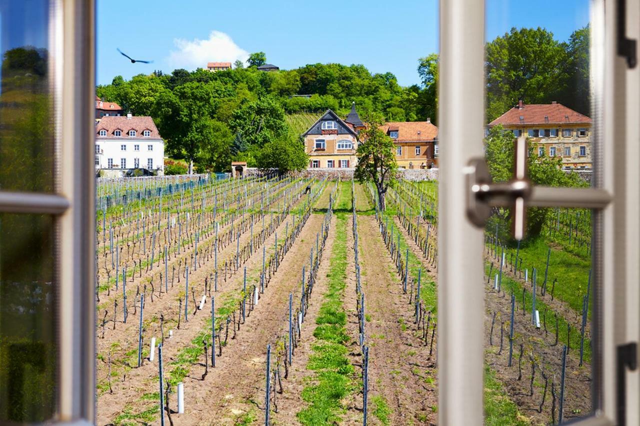 Weingut Haus Steinbach Villa Radebeul Exterior photo