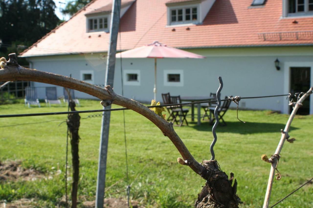 Weingut Haus Steinbach Villa Radebeul Exterior photo